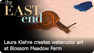 Blossom Meadow Farm and snail art